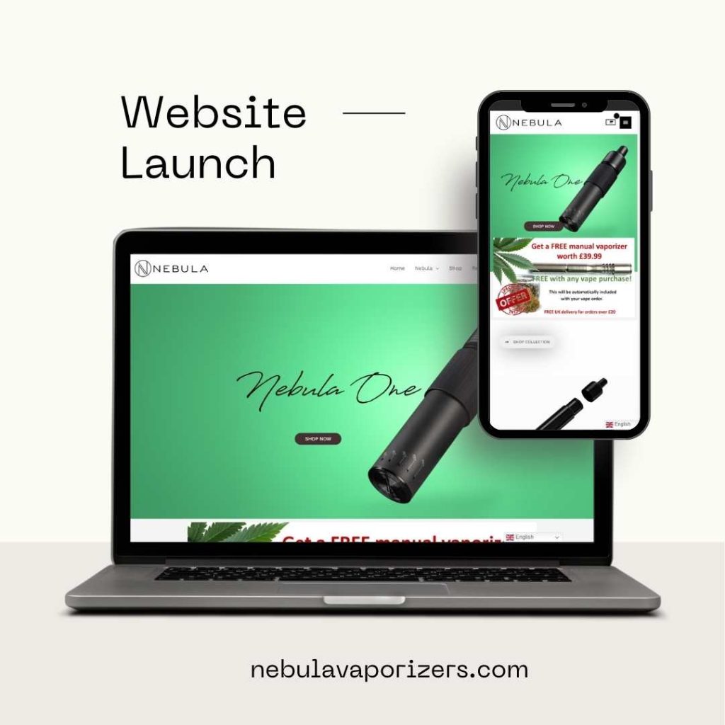 Professional web development services by BIT Technologies