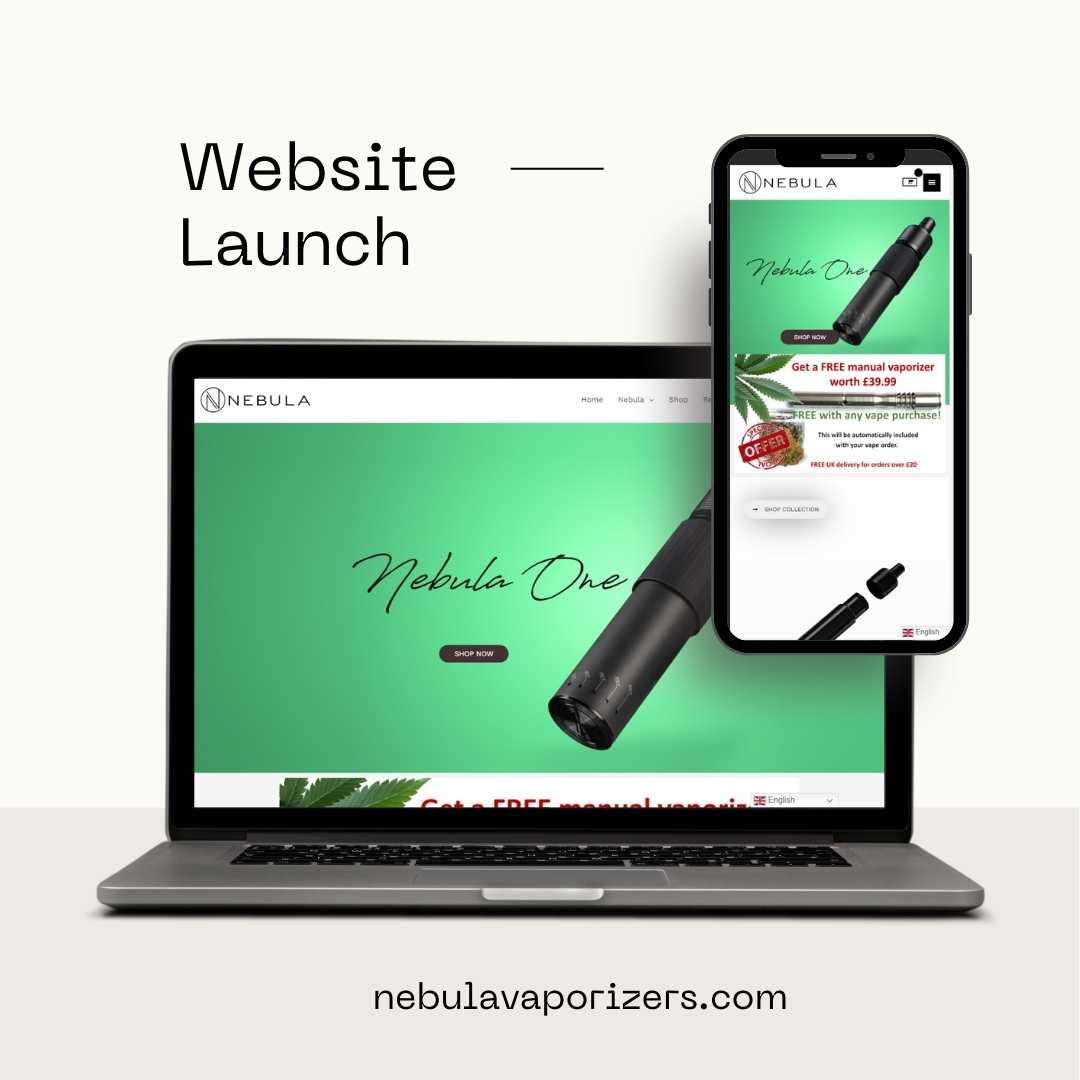 Professional web development services by BIT Technologies